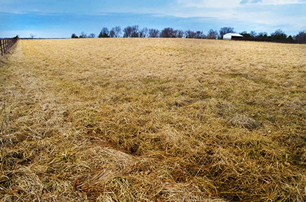REAL ESTATE & FARM EQUIPMENT AUCTION IN ALLEN COUNTY, INDIANA